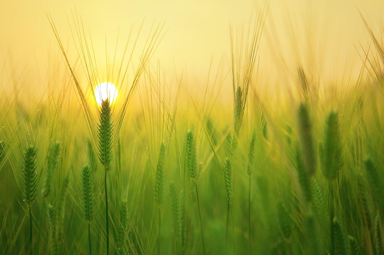 Reflections on Surah Al-Kahf (Khutbah)