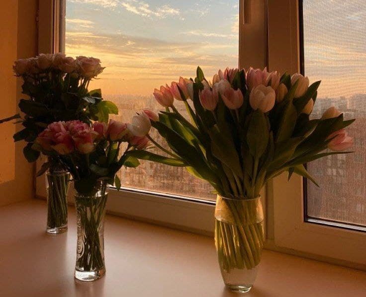 The Virtue of Good Treatment and Affection in Islam