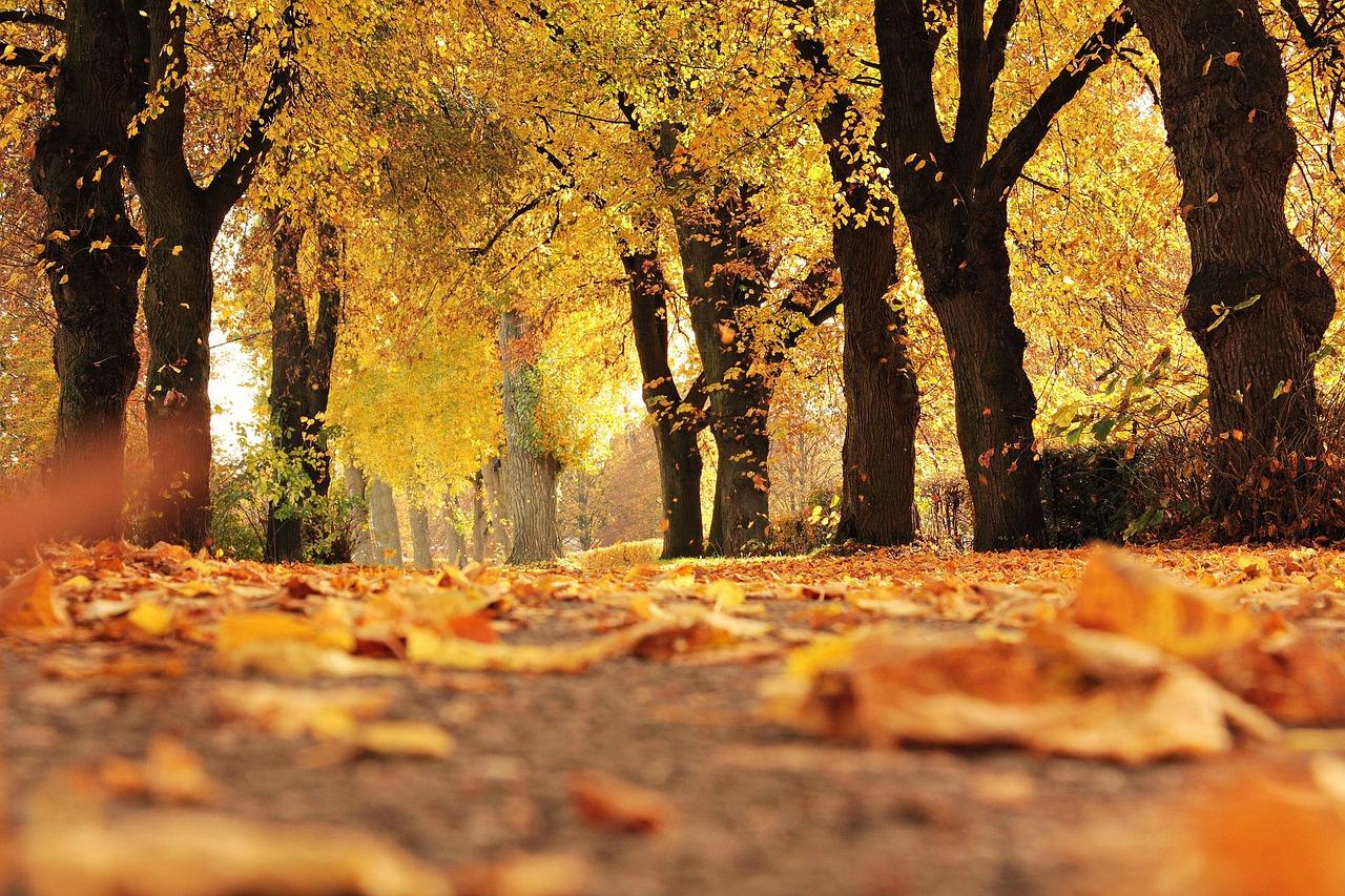 The Most Important Goals In The Life of A Muslim Woman